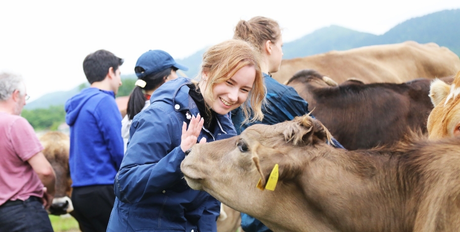 牛飼い牧場ピクニック