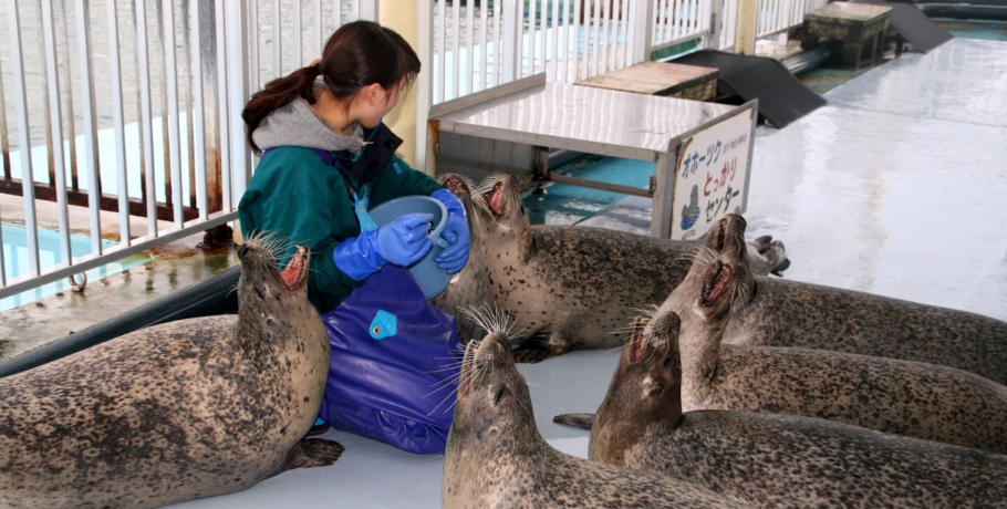 とっかりセンター