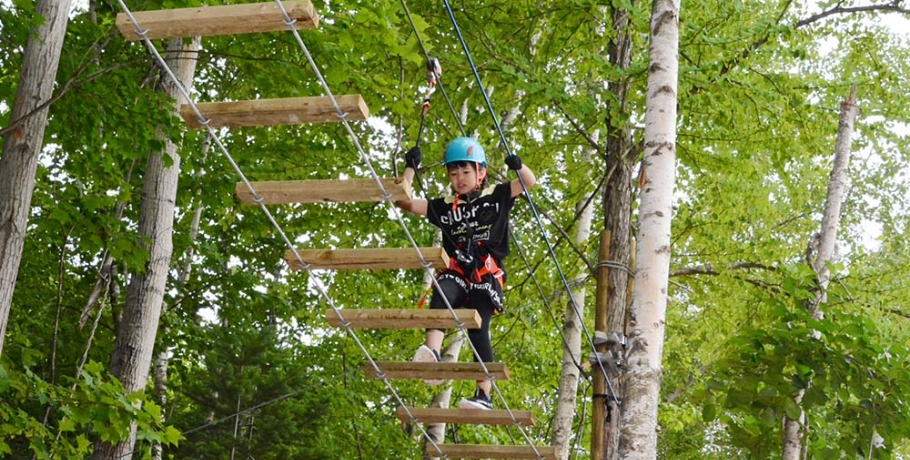 ツリートレッキング