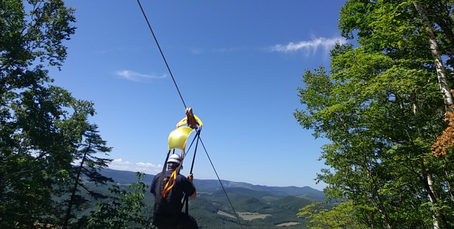 ジップライン「森のOWL（アウル）」