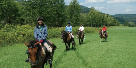 ホーストレッキング
