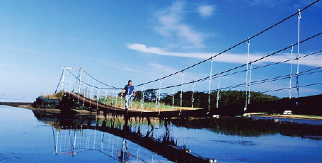 鶴沼原生花園・サンゴ草