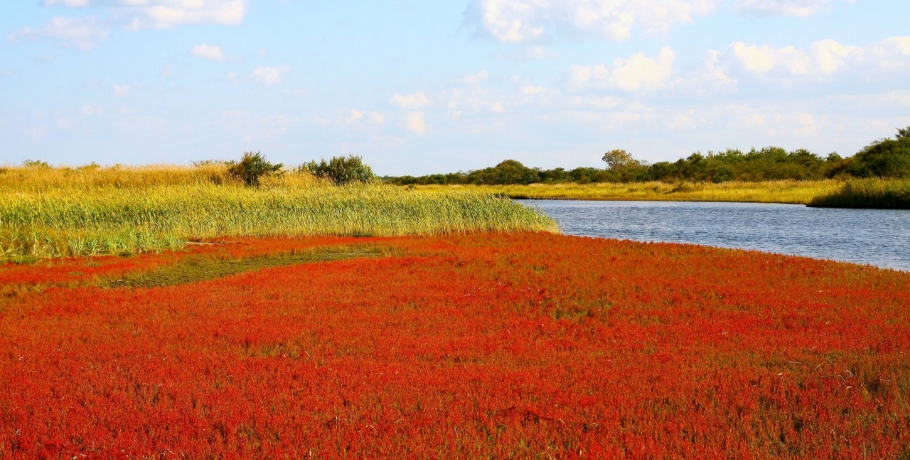 コムケ湖・コムケ原生花園
