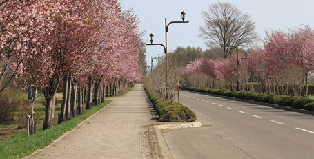 オホーツク・リラ街道