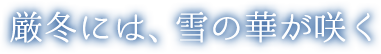 厳冬には、雪の華が咲く